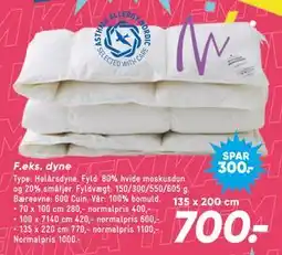 Bilka dyne tilbud