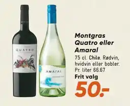 Bilka Montgras Quatro eller Amaral tilbud