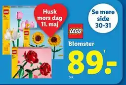 Lidl Blomster tilbud