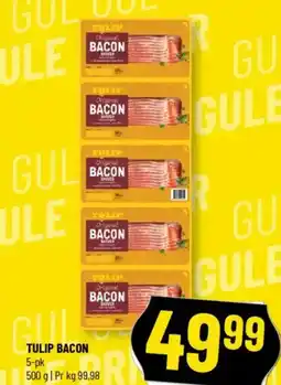 Løvbjerg TULIP BACON 5-pk tilbud