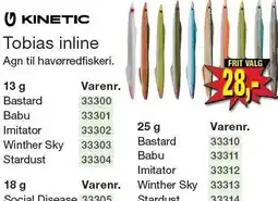 Harald Nyborg KINTEIC Tobias inline tilbud