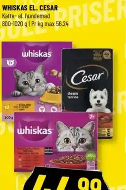 Løvbjerg WHISKAS EL. CESAR tilbud