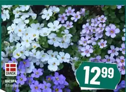 Løvbjerg BACOPA tilbud