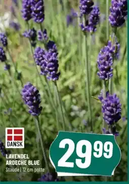 Løvbjerg LAVENDEL ARDECHE BLUE tilbud