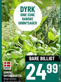 Løvbjerg DANSKE KRYDDERURTER tilbud