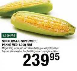 Land & Fritid Sukkermajs sun sweet, pakke med 1000 frø tilbud