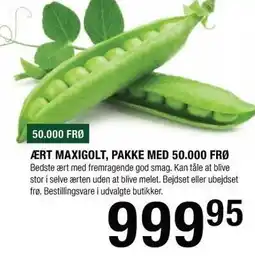 Land & Fritid Ært Maxigolt, Pakke med 50000 frø tilbud
