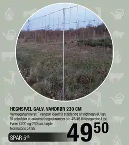 Land & Fritid Hegnspæl Galv. Vandrør 230 cm tilbud