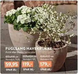 Plantorama FUGLSANG HAVEKRUKKE tilbud