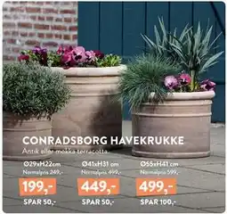 Plantorama CONRADSBORG HAVEKRUKKE tilbud