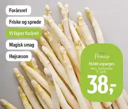 Føtex salling Princip Hvide asparges 400 g tilbud