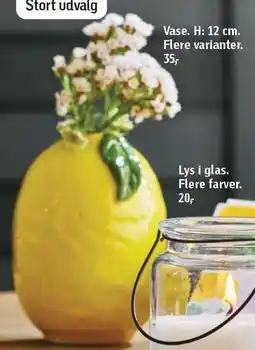 Føtex Vase H: 12 cm tilbud