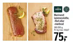 Føtex Marineret lammeculotte, -filet eller -mørbrad 180-550 g tilbud