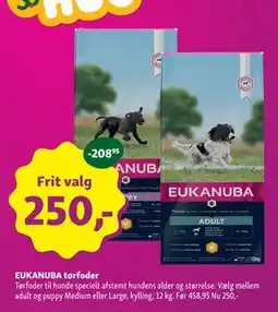 Maxi Zoo EUKANUBA tørfoder tilbud