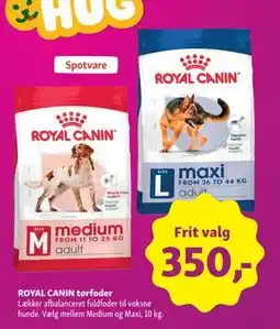 Maxi Zoo ROYAL CANIN tørfoder tilbud