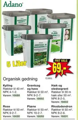 Harald Nyborg Hæk og stedsegrønt tilbud
