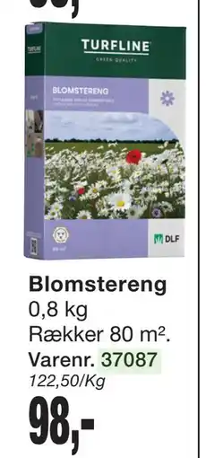 Harald Nyborg Blomstereng tilbud