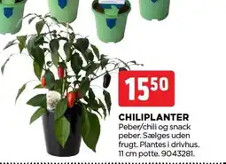 jem & fix CHILIPLANTER tilbud