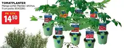 jem & fix TOMATPLANTER tilbud