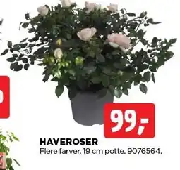 jem & fix HAVEROSER tilbud