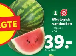 Lidl Økologisk vandmelon tilbud