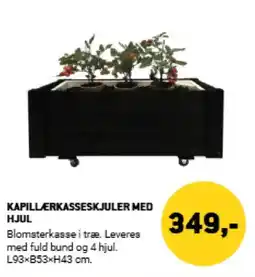 XL-BYG Kapillerkasseskjuler med hjul tilbud