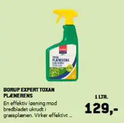 XL-BYG Borup expert toxan plænerens tilbud