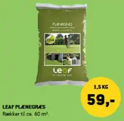 XL-BYG Leaf plenegræs tilbud