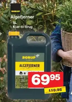 Bauhaus BORUP Algefjerner tilbud