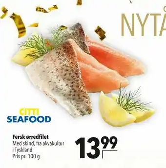 Fersk ørredfilet
