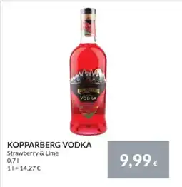 Nielsen's Discount KOPPARBERG VODKA Strawberry & Lime tilbud