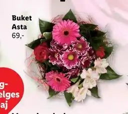 Lidl Buket Asta tilbud