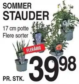 ABC Lavpris SOMMER STAUDER tilbud