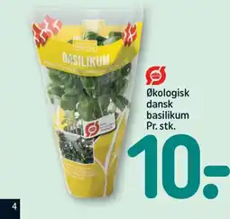 REMA 1000 Økologisk dansk basilikum tilbud