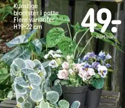 REMA 1000 Kunstige blomster i potte flere varianter h19-22 cm tilbud