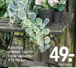REMA 1000 Kunstige planter i potte flere varianter h19-40 cm tilbud