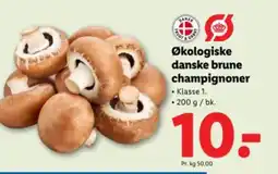 Lidl Økologiske danske brune champignoner tilbud