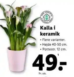 Lidl Kalla i keramik tilbud