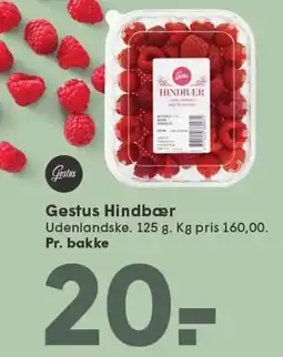 SPAR Gestus Hindbær tilbud