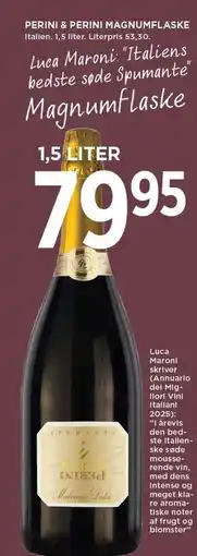 MENY PERINI & PERINI MAGNUMFLASKE tilbud