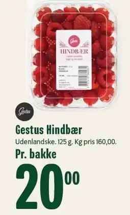 Min Købmand Gestus Hindbær tilbud
