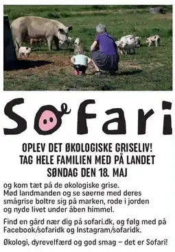 REMA 1000 Oplev det økologiske griseliv tilbud