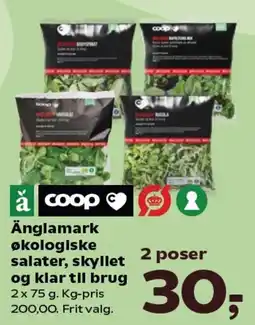Kvickly Änglamark økologiske salater, skyllet og klar til brug tilbud