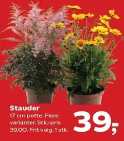 Kvickly Stauder tilbud