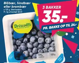 Bilka Blåbær, hindbær eller brombær tilbud