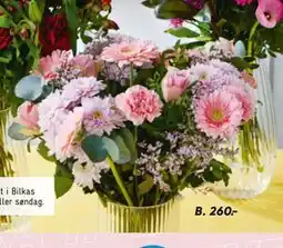 Bilka Buketbinderi tilbud