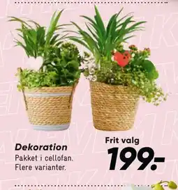 Bilka Dekoration tilbud