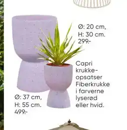 Bilka Capri krukkeopsatser Fiberkrukke i farverne lyserød eller hvid tilbud