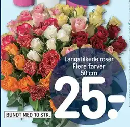 REMA 1000 Langstilkede roser Flere farver 50 cm tilbud
