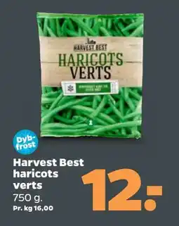 Netto Harvest Best haricots verts tilbud